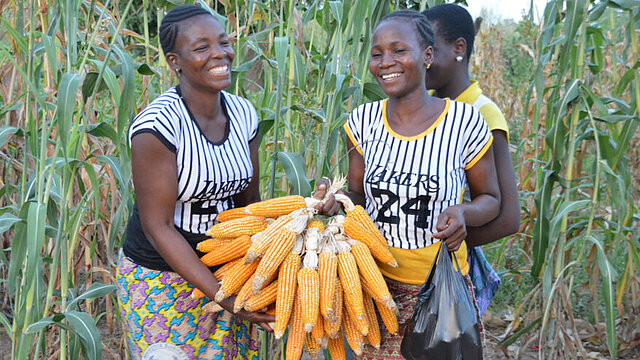 zwei junge Frauen, die stolz ihre geernteten Maiskolben zeigen