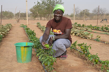 Gemüseanbau in Burkina Faso gegen Mangelernährung
